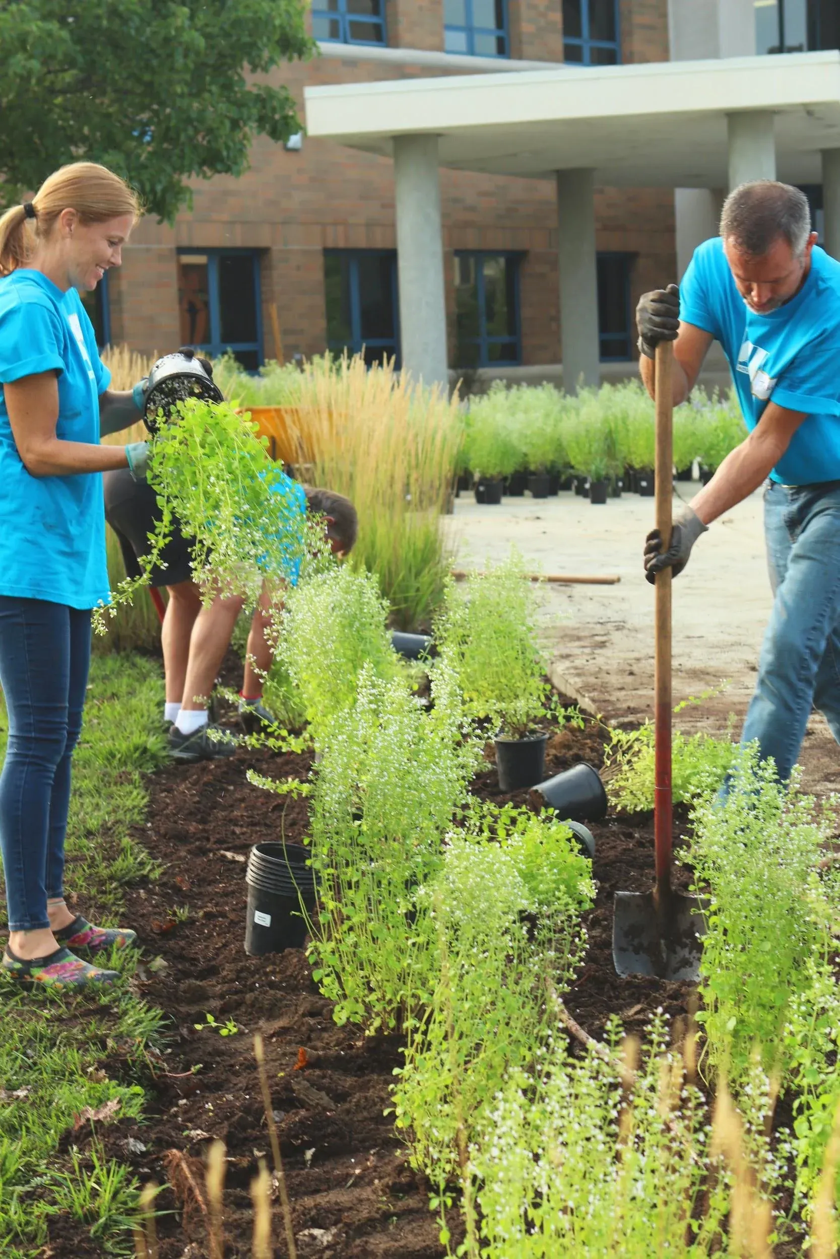 Three adult volunteers plant during a beautification project of some kind. Research indicates homeschooled kids volunteer and contribute to their community at higher rates than their institutionally educated peers.