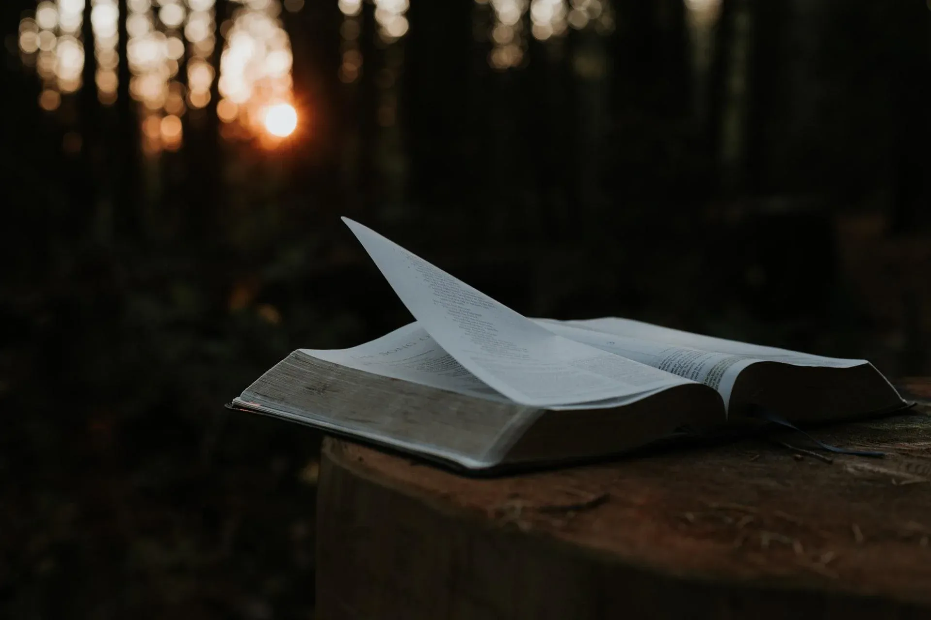 Many homeschool families want religion at the core of their curriculum, and that is why they choose to homeschool. This is an image of a bible, pages blowing in the wind at sunset.